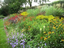 Garden Pics 54
