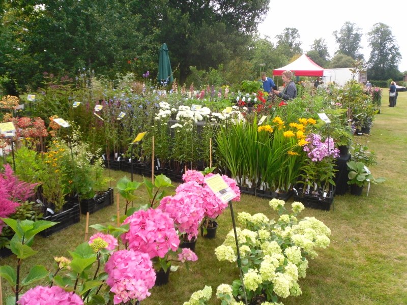 Home Rare Plant Fair