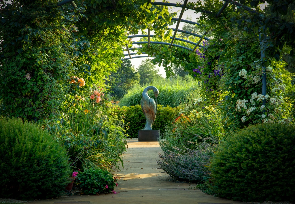 Home Rare Plant Fair