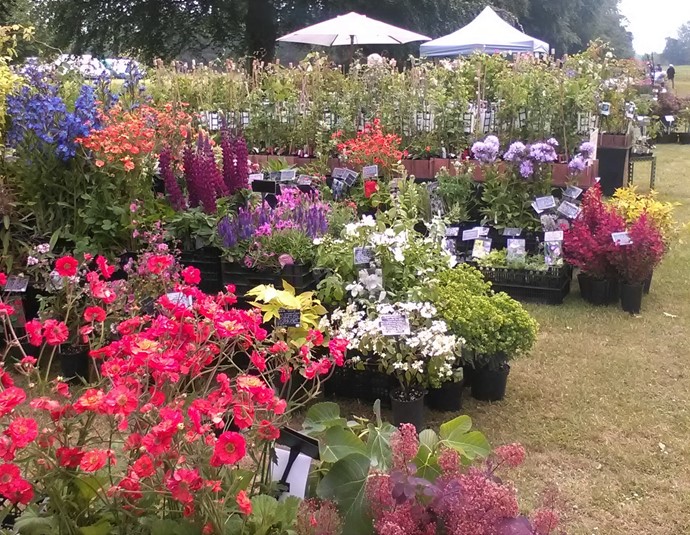 Our Nurseries Rare Plant Fair