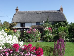 The Garden at Hilltop