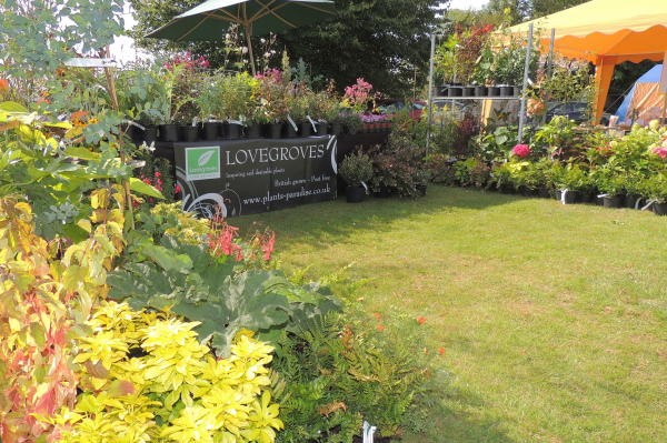 Our Plant Fair Stall