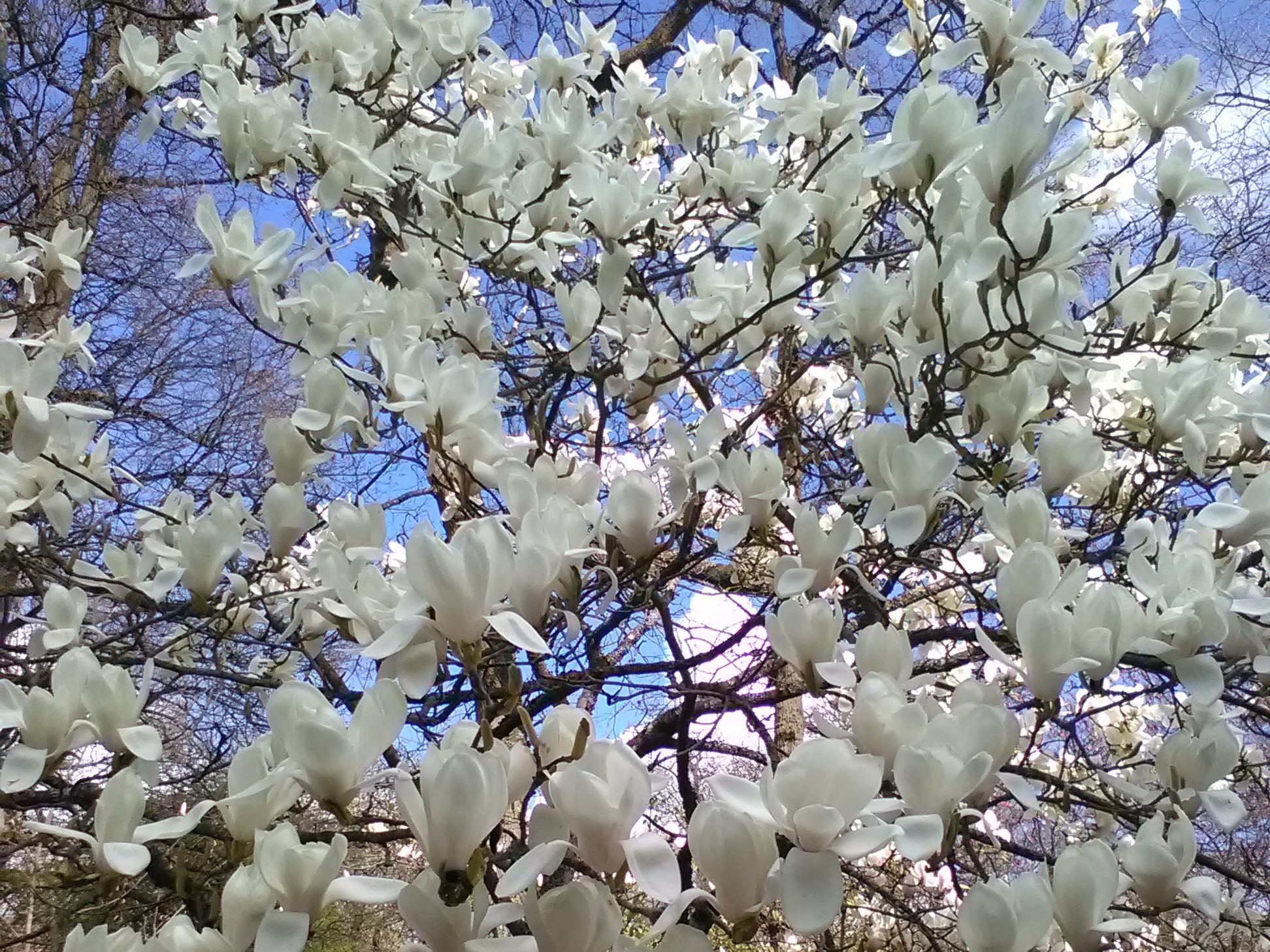 2017-04-01 14.38.57.jpg