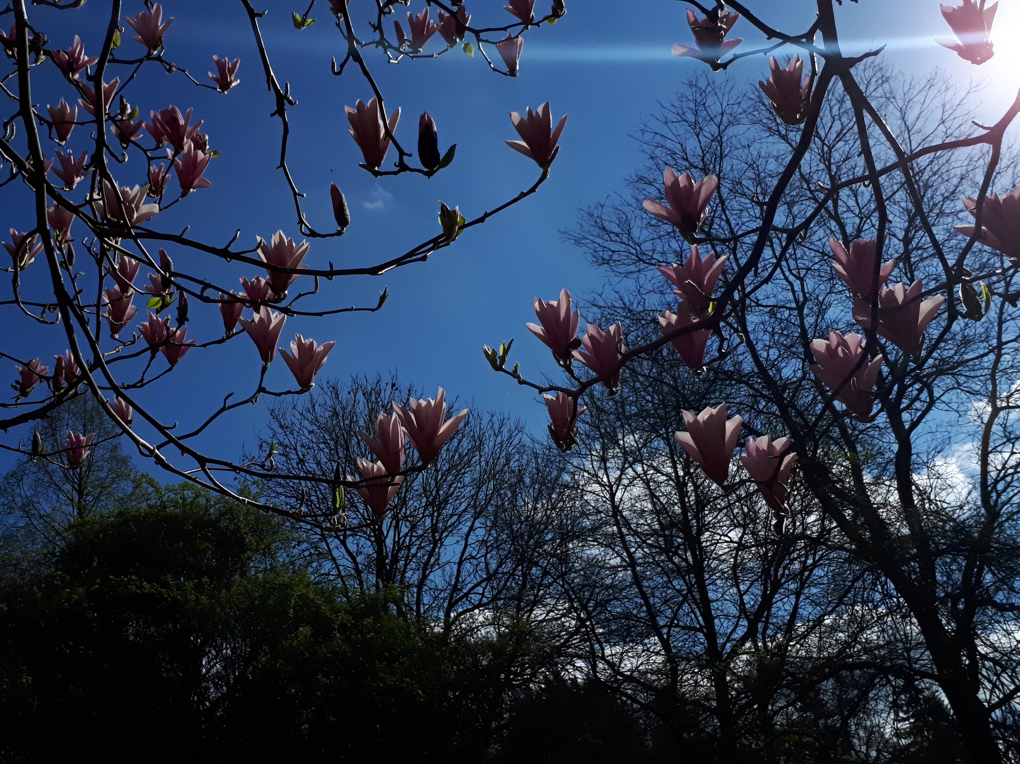 20170402_150609.jpg