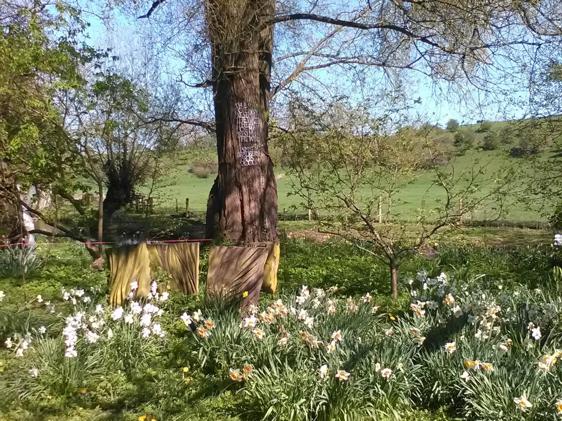 2017-04-08 15.08.57 Landscape.jpg