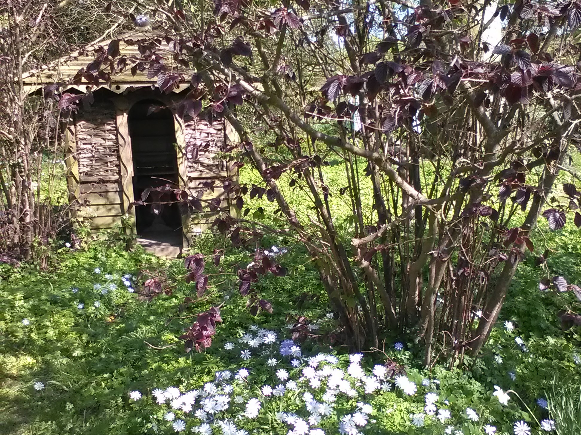 2017-04-08 15.12.37 Landscape.jpg