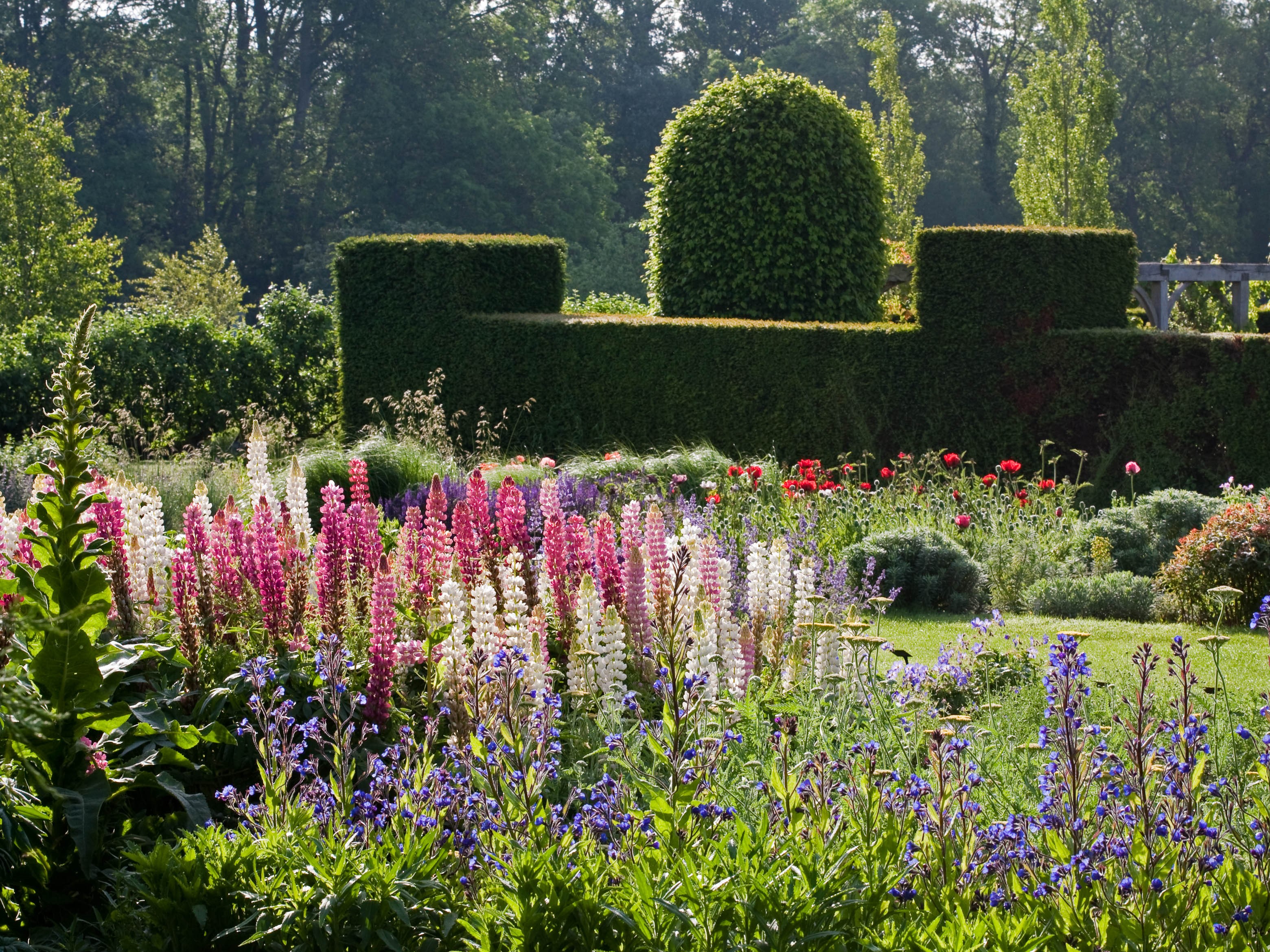 Waterperry Gardens Image 2014 4 x 3.jpg