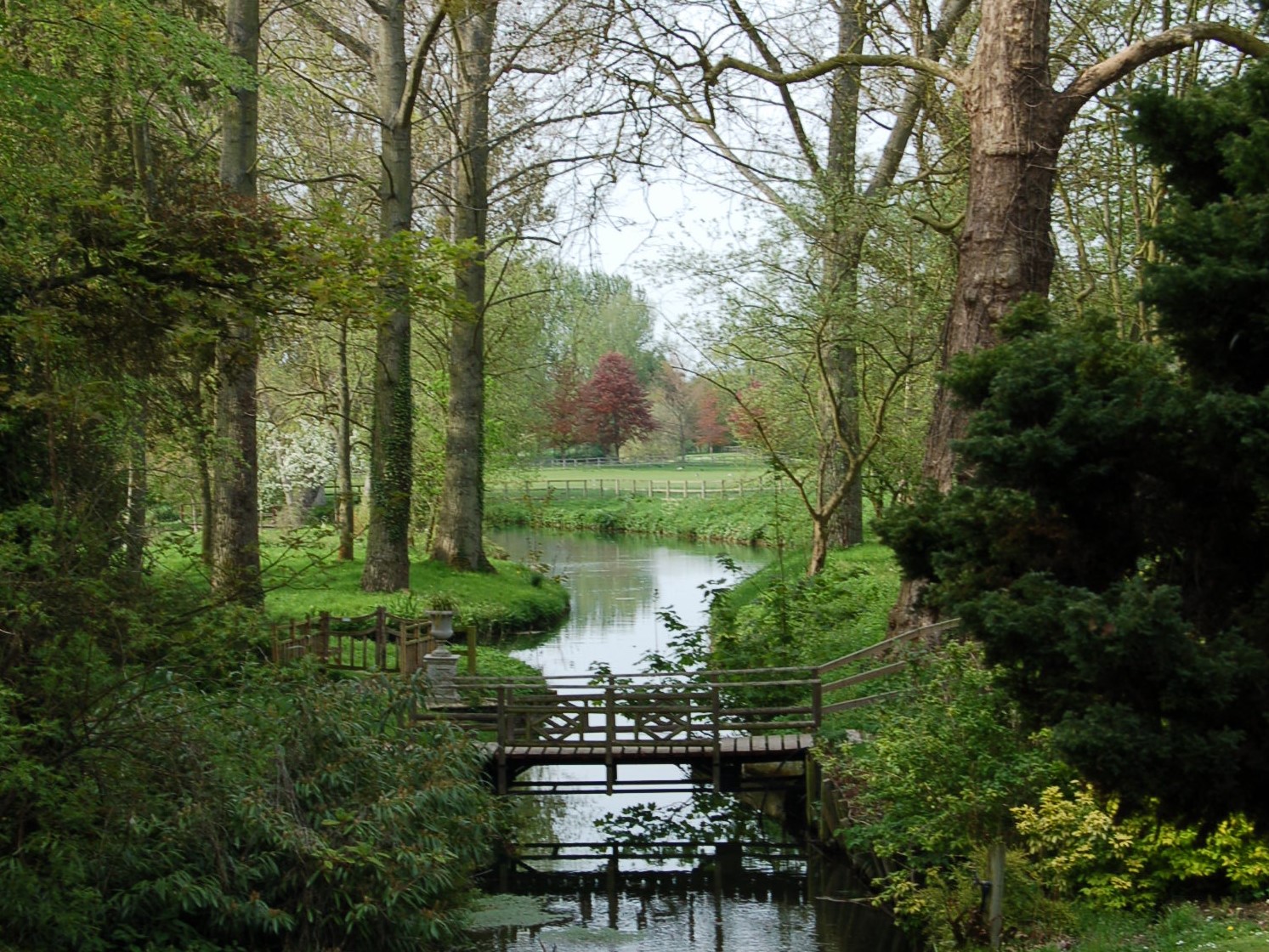 DSC_0104.jpg