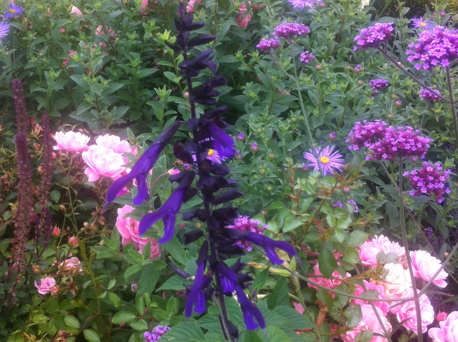 photo 4.jpg