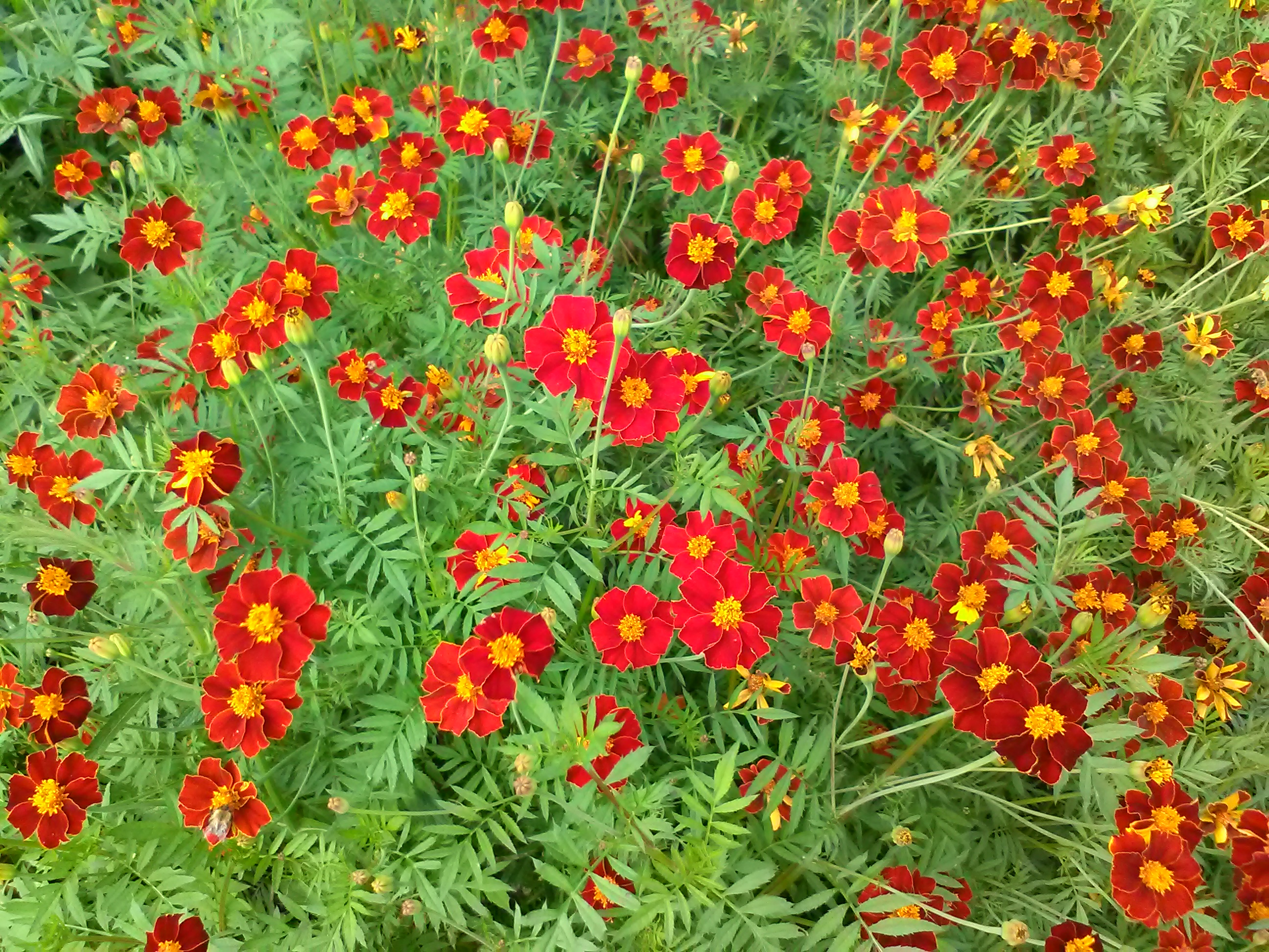 2016-09-17 15.23.35.jpg