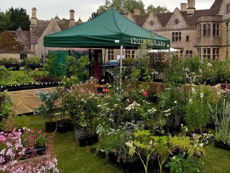 Our Nurseries Rare Plant Fair