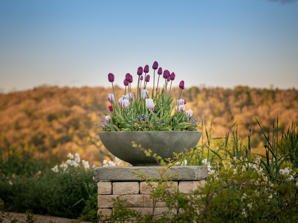 AMAG gardens 6 May 2021-0044- web-Peter Hall 4-3.jpg