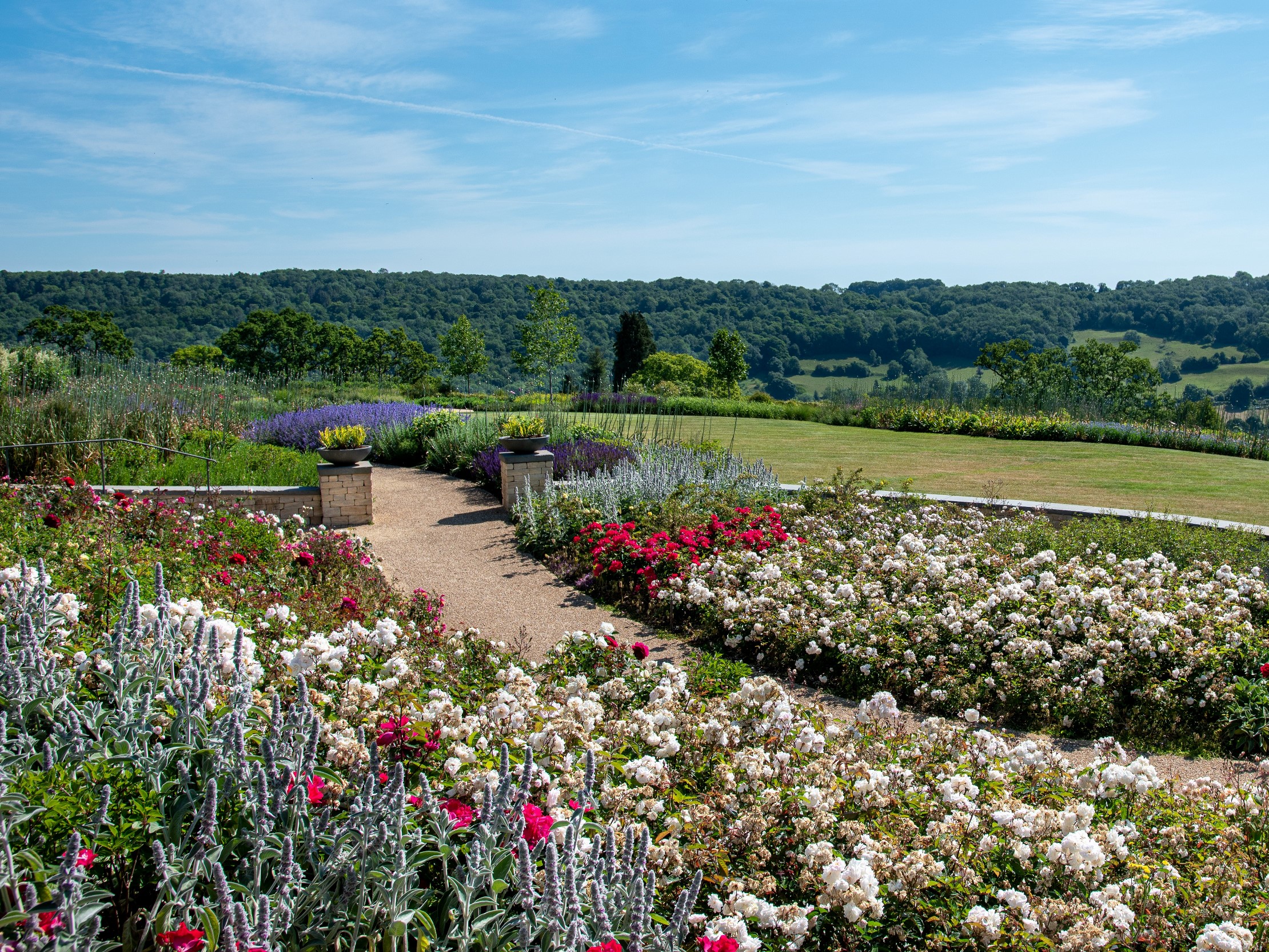 resized_Main Garden - DSC_0072- Peter Hall 2020 (3) 4.3.jpg