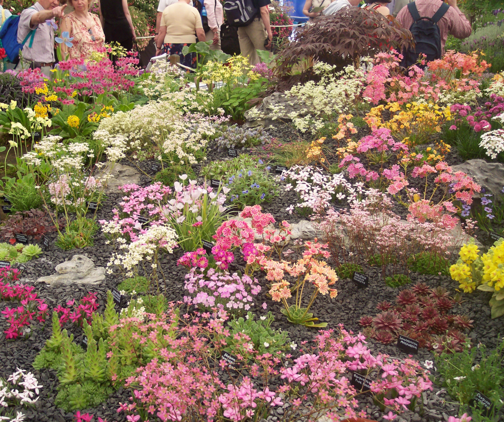 Our exhibit at Chelsea Flower Show