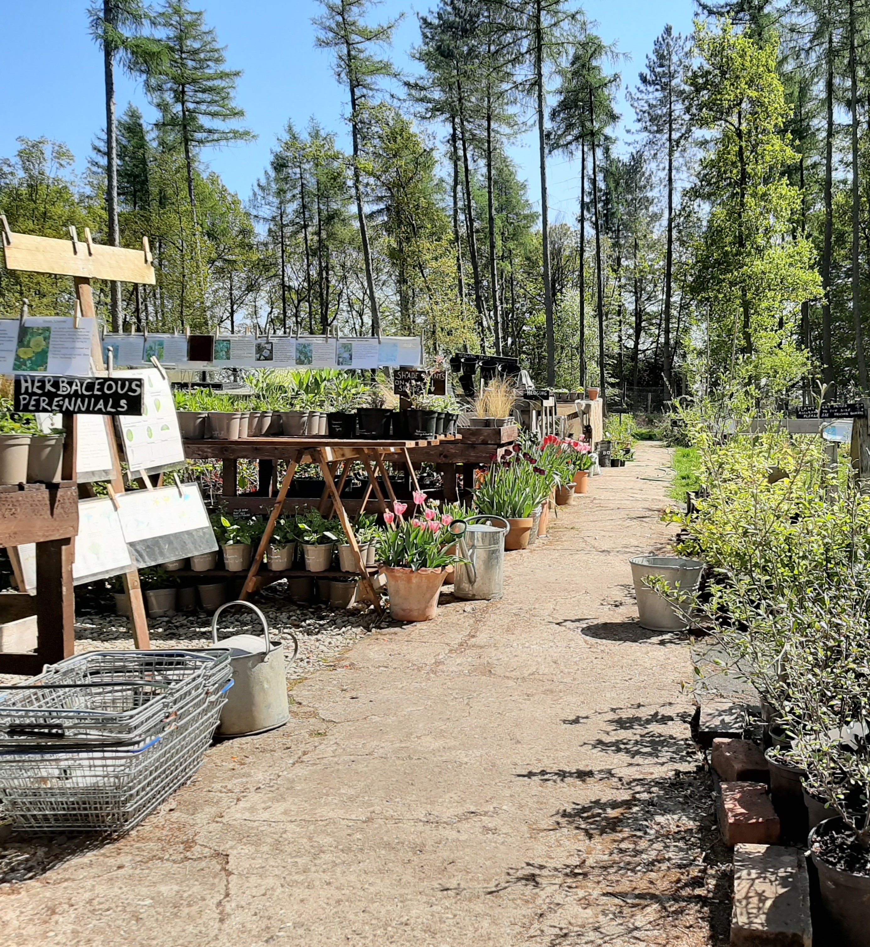 Stotts Nursery