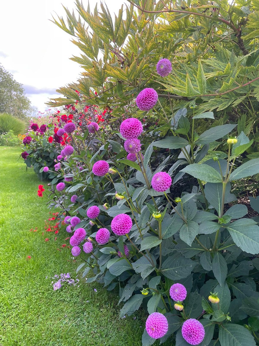 e61149c4-cf36-486b-9171-c934f7b57925-900x1200 (1).jpg