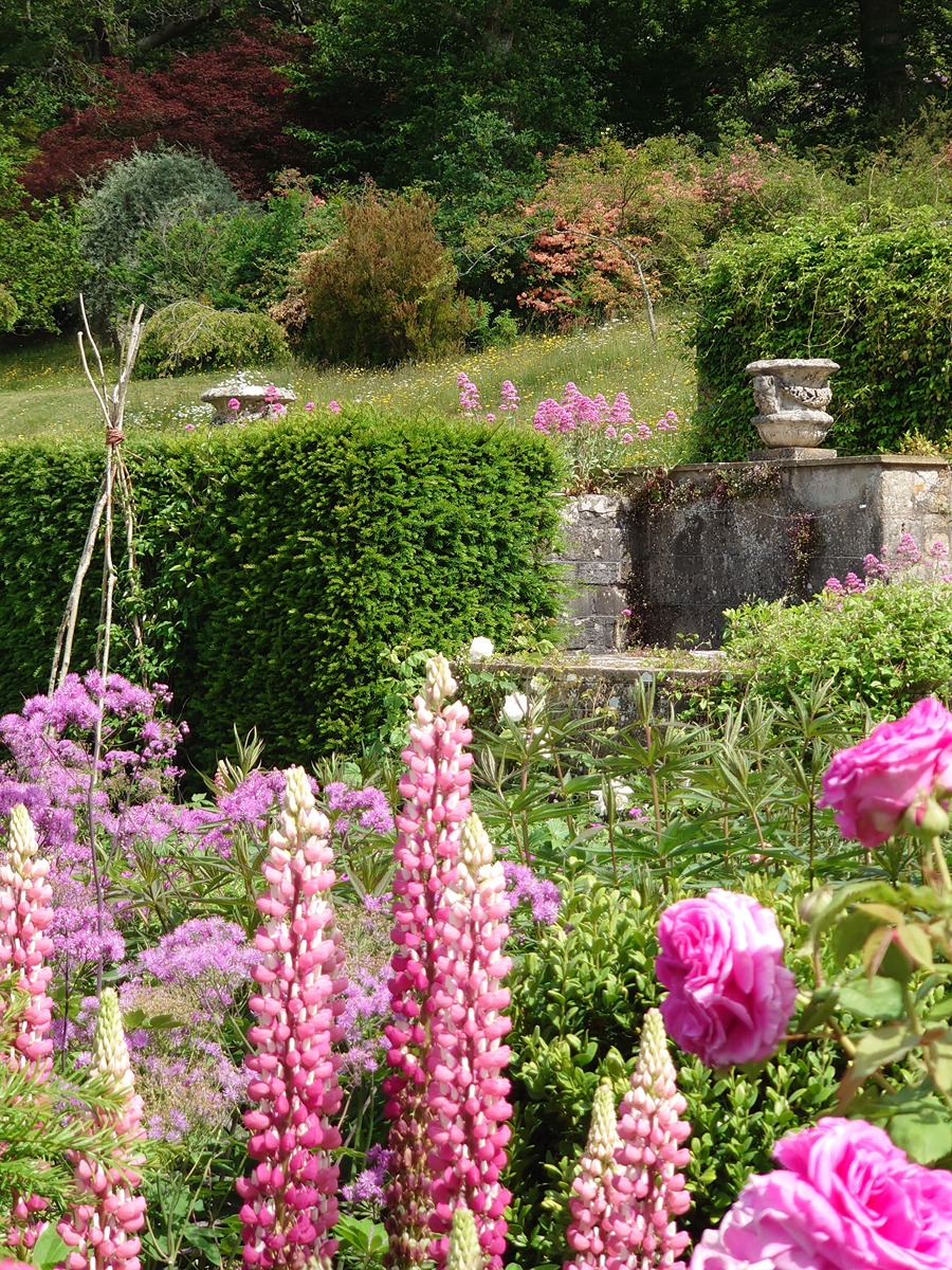 june, july 3-900x1200.jpg