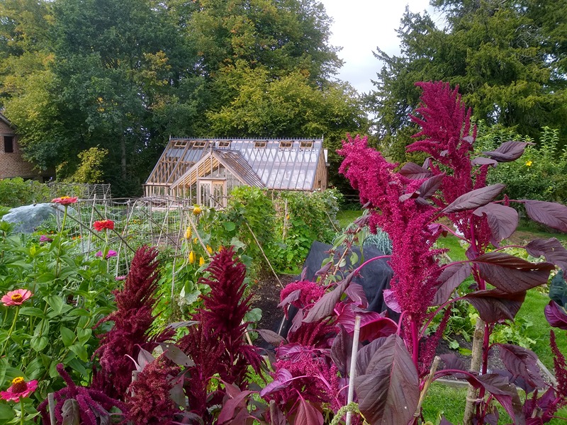 img_20221003_150745778_hdr-800x600 GHouse red fls.jpg