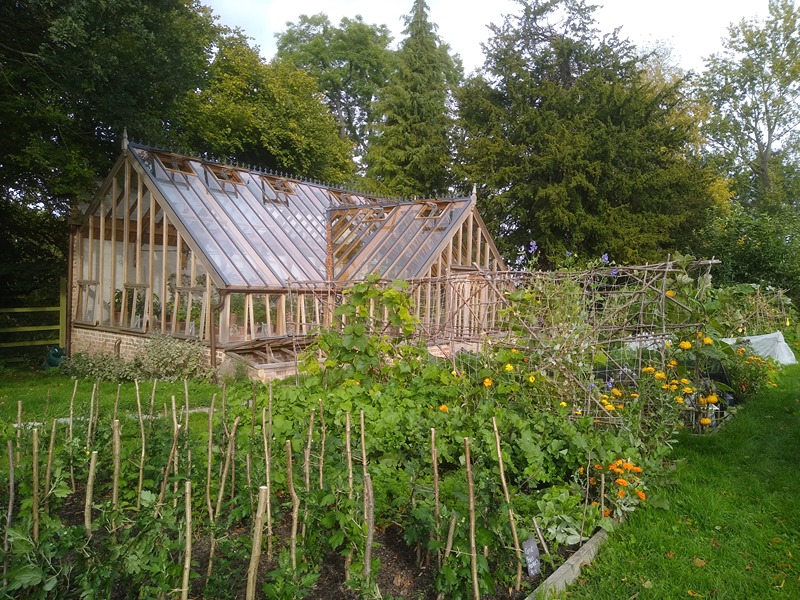 img_20221003_150536035-800x600 Ghouse yellow fls.jpg