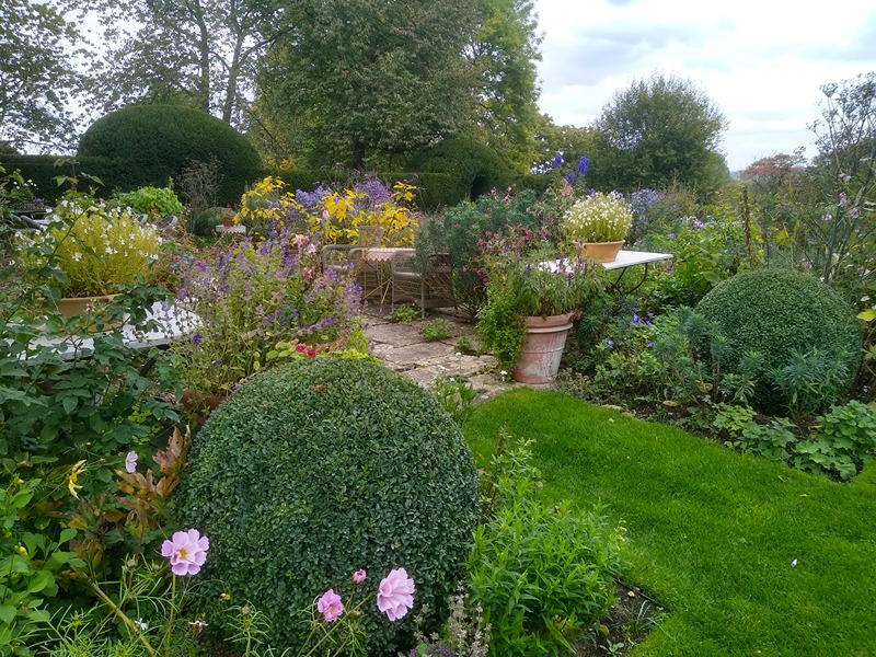 img_20221003_151233950_hdr-800x600 Globe shrub.jpg