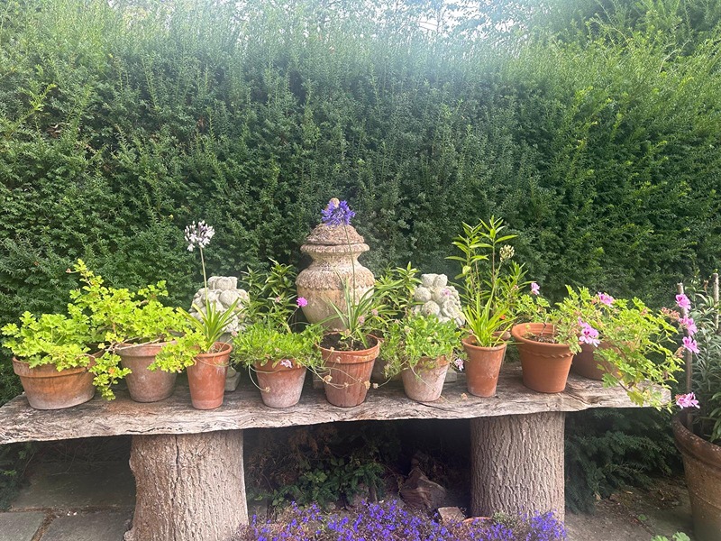 img-20251215-wa0014 salthrop-800x600 (1) Bench.jpg