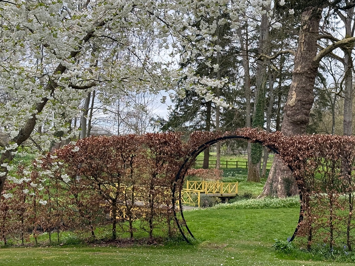 img_1569 adwell hedge circle-1200x900.jpeg
